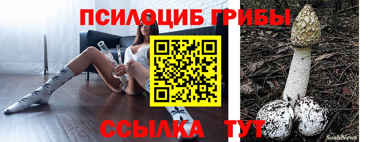 Новочебоксарск  Галлюциногенные грибы Psilocybe  Вход с VPN 